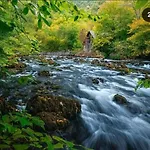 Smjestaj Na Selu,porodica Gvozdenac Apartamento *