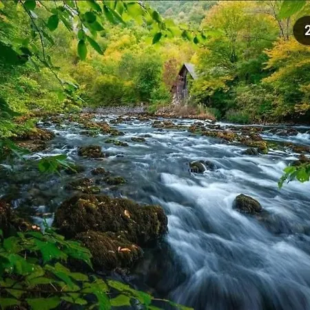 Smjestaj Na Selu,porodica Gvozdenac Διαμέρισμα *