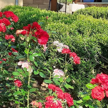 Smjestaj Na Selu,porodica Gvozdenac Apartment
