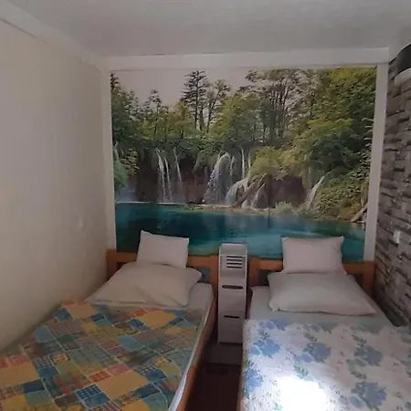 Smjestaj Na Selu,porodica Gvozdenac Apartman *