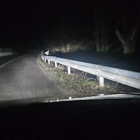 Smjestaj Na Selu,porodica Gvozdenac *