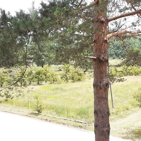 Smjestaj Na Selu,porodica Gvozdenac アパート *